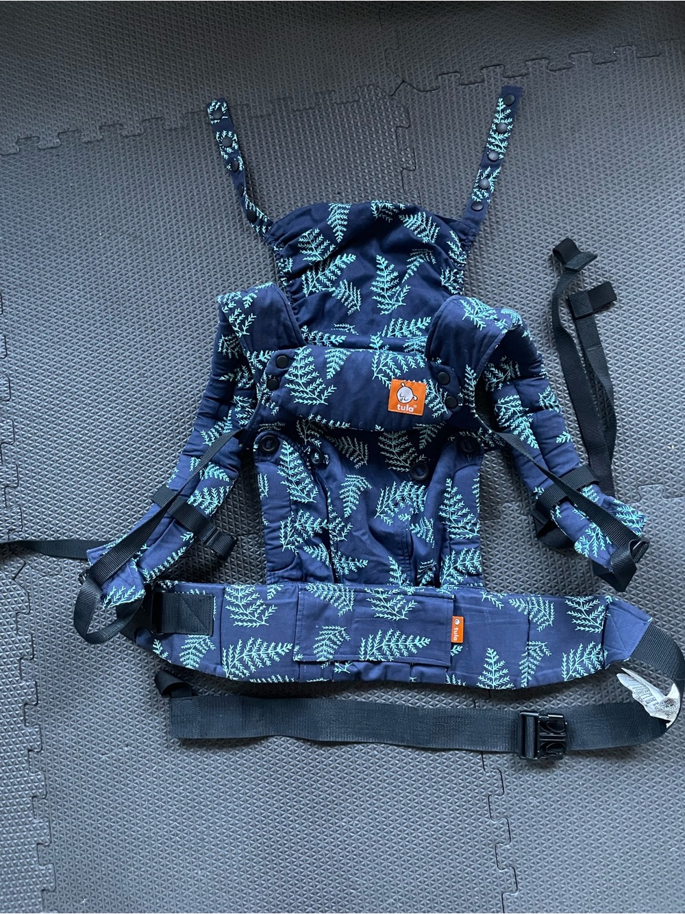 Baby Tula Explore Ergonomic Carrier Everblue Fern Print 7-45 lbs